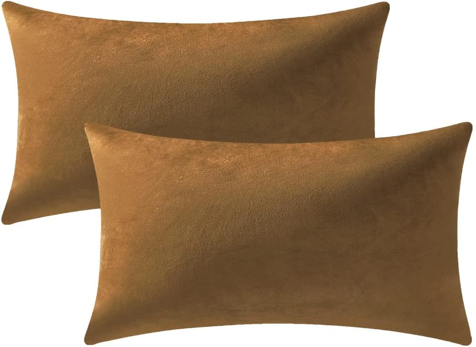 Fundas de almohada 2 piezas acogedoras fundas de almohada decorativas de terciopelo suave para decoración del hogar - Imagen 266 de 271