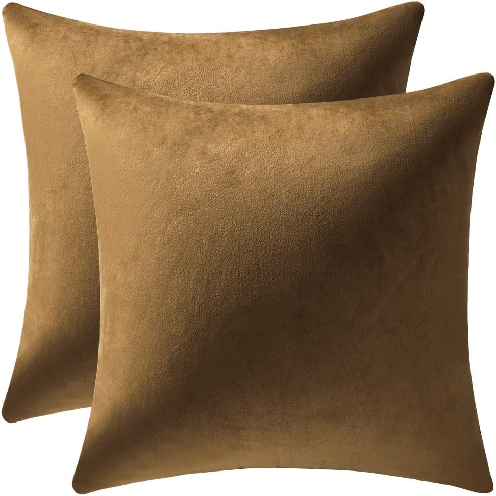 Fundas de almohada 2 piezas acogedoras fundas de almohada decorativas de terciopelo suave para decoración del hogar - Imagen 271 de 271