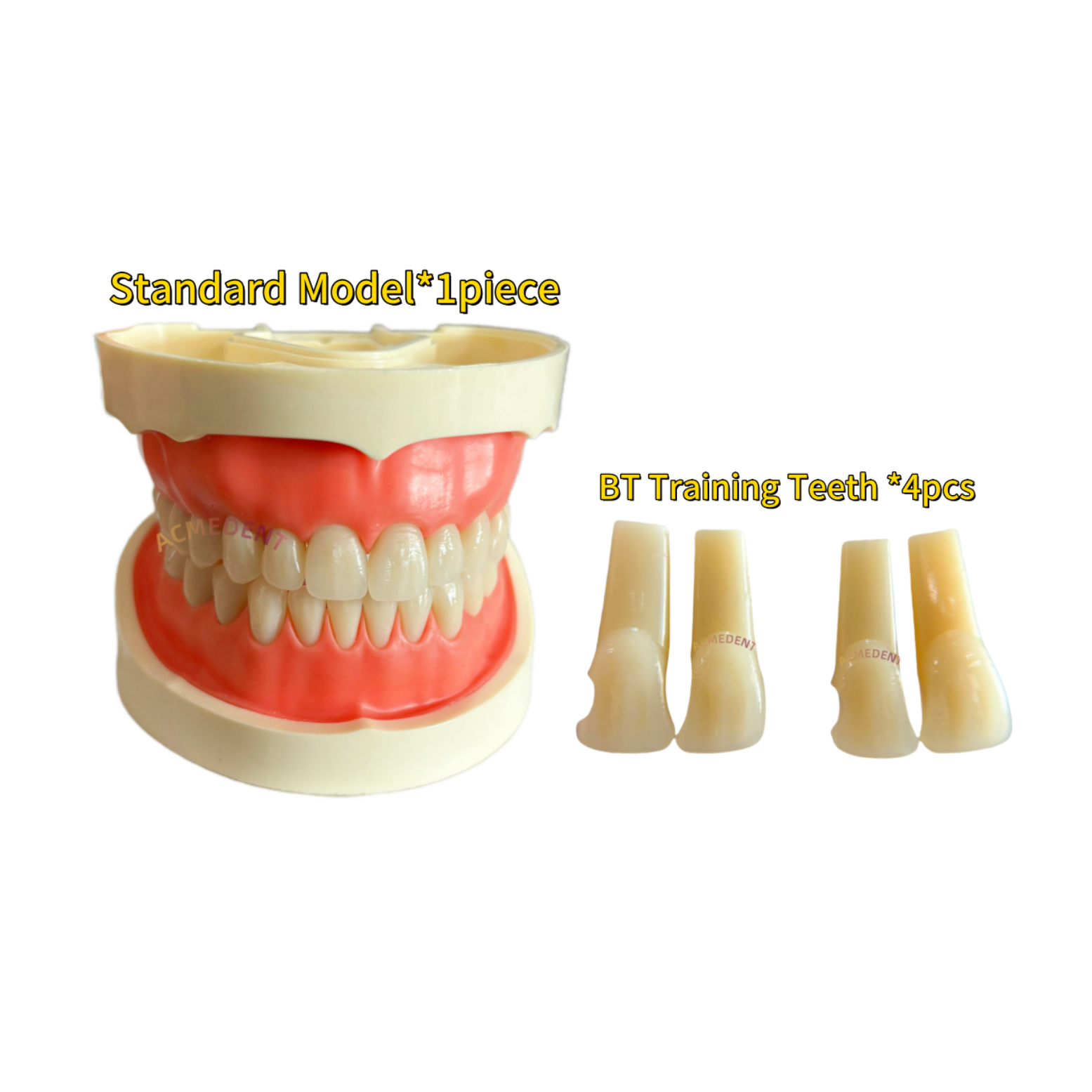 Dental BT Model Black Triangle Anterior Teeth Training Close Gap Clear Matrices