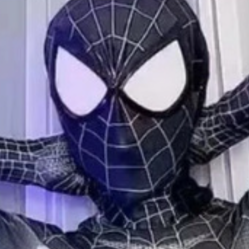 Women-Spiderman Superhero Lycra Jumpsuit Halloween Costume Girl Cosplay Outfit - Picture 14 of 18