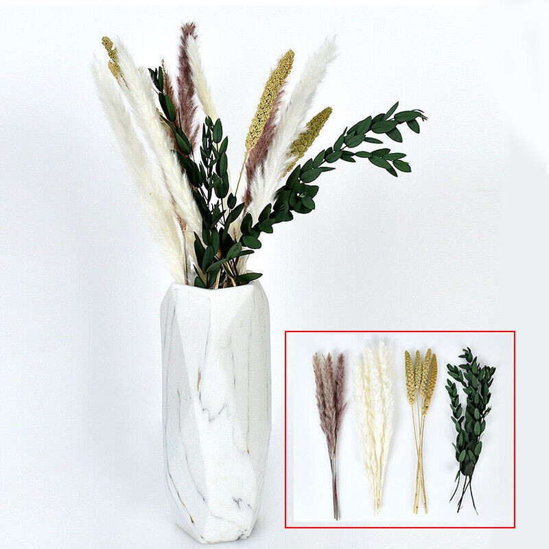 12-84pcs Pampas Grass Natural Dried Flowers for Vase Feather Bouquet Art Decor