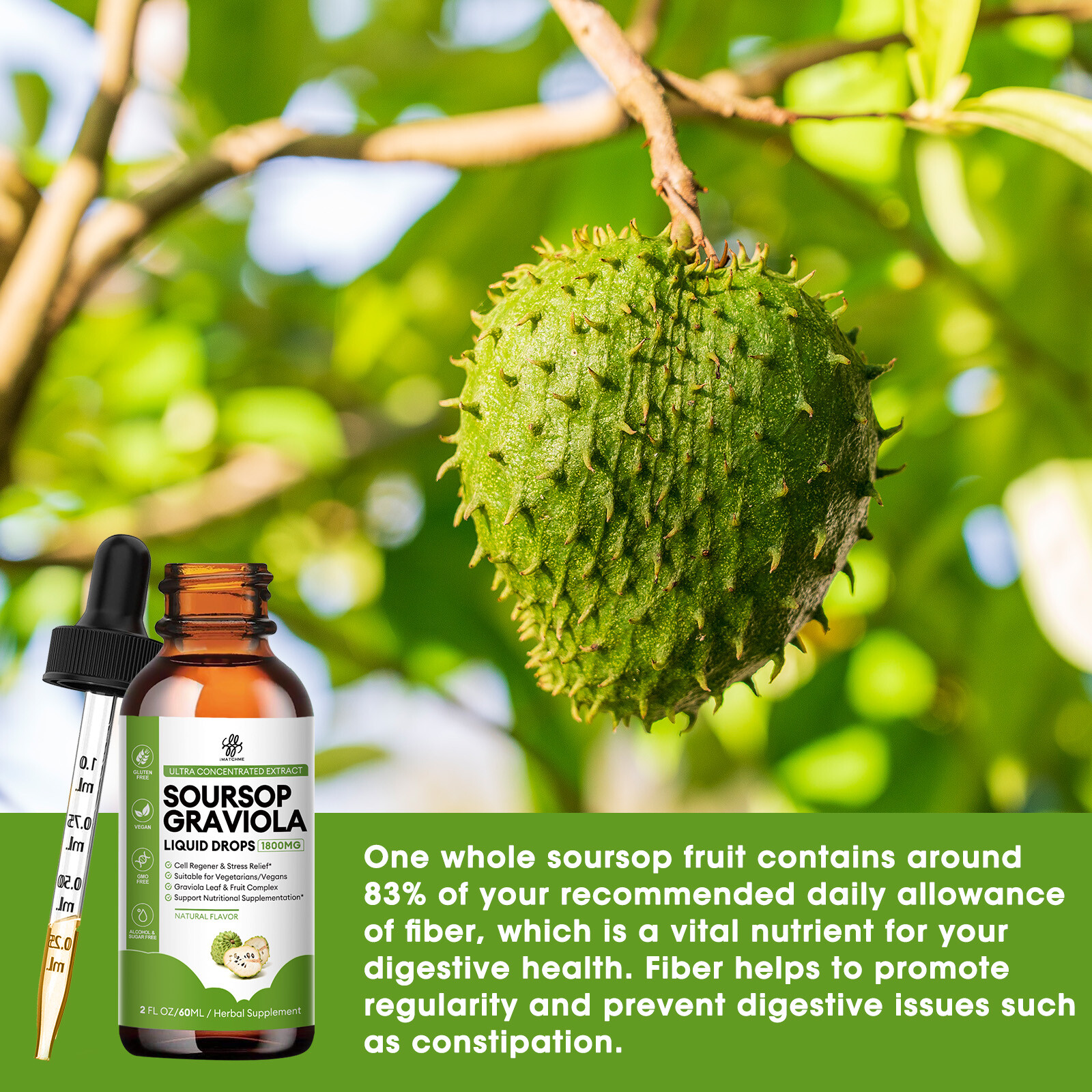 Mullein Extract for Lung Health Soursop Extract Cell Support & Regeneration - Picture 3 of 15