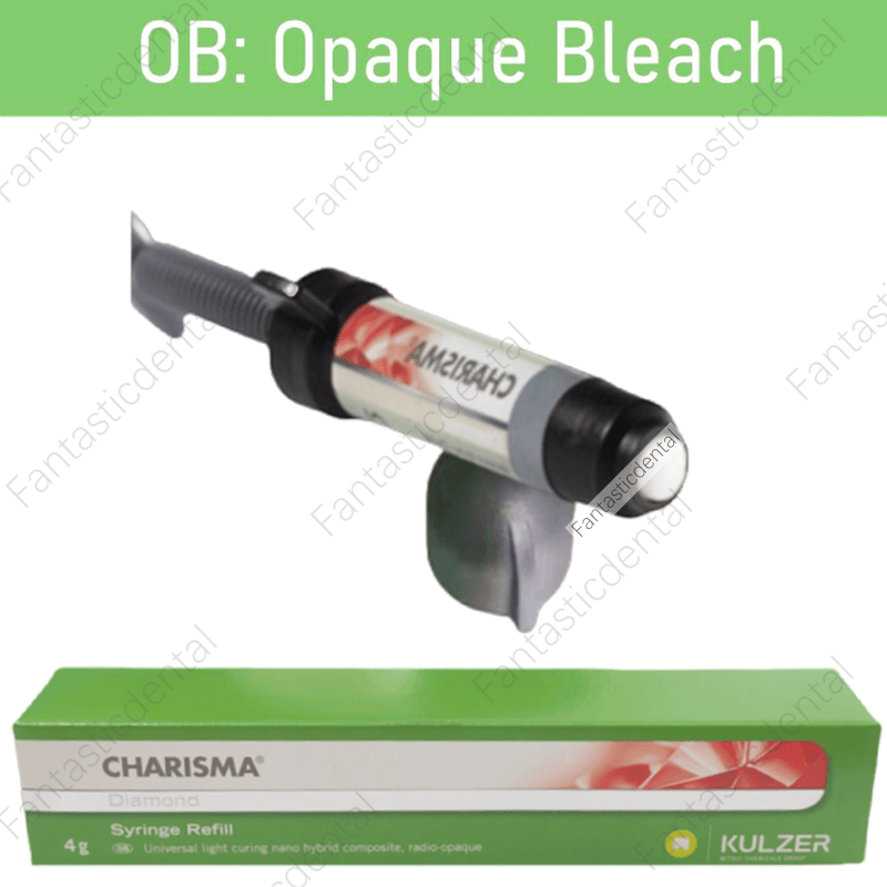 Dental KULZER CHARISMA Diamond OB Light Cure Composite Resin BL BXL Super White