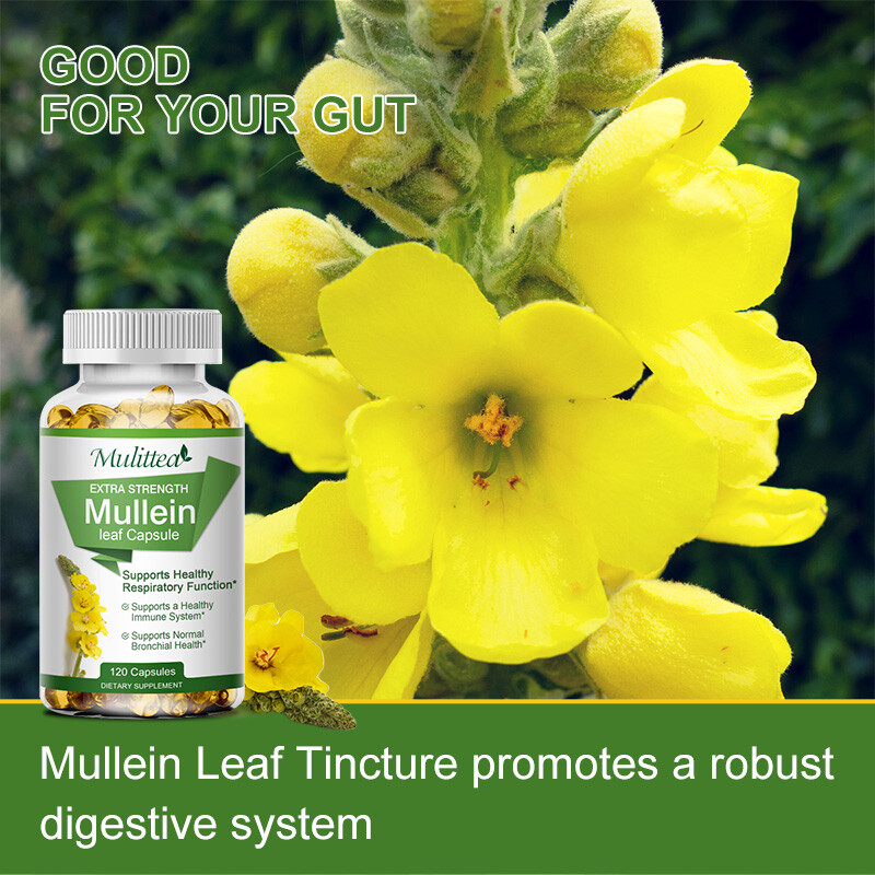 Mullein Leaf Herbal Supplement For Lung Cleanse Detox & Respiratory Fuction - Picture 3 of 17