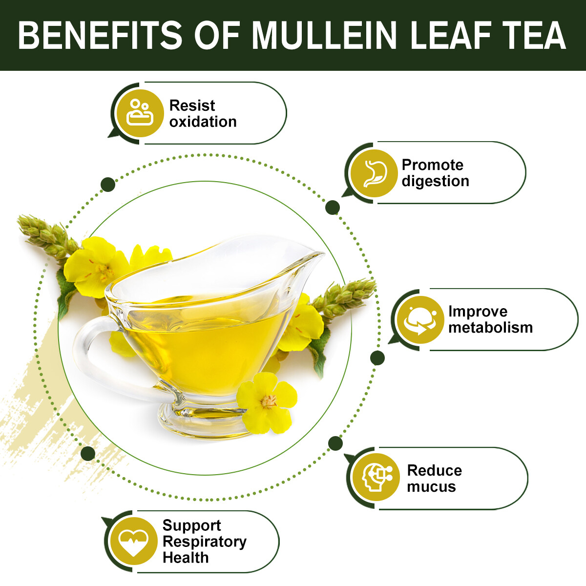 Mullein Leaf Herbal Supplement For Lung Cleanse Detox & Respiratory Fuction - Picture 13 of 17