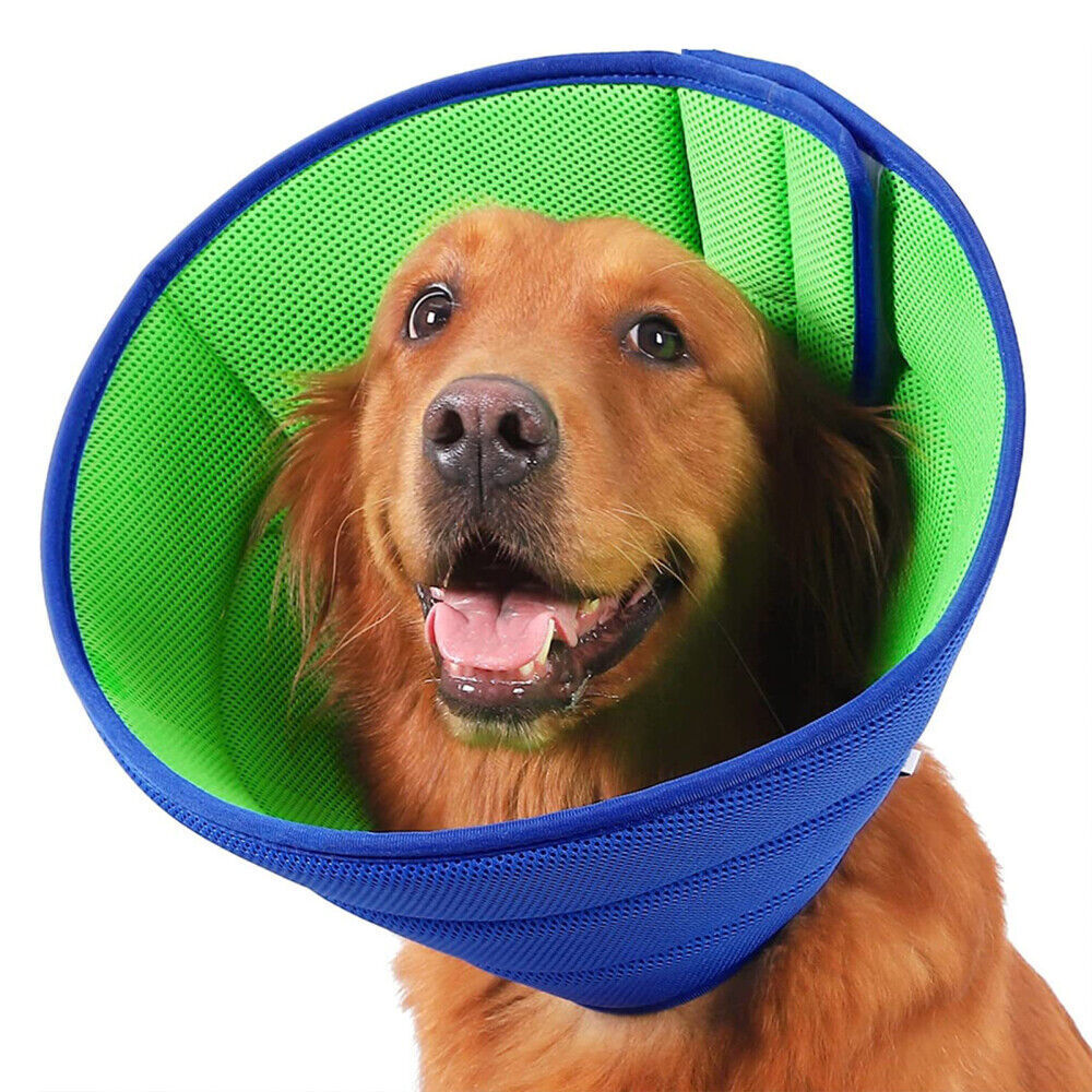 Soft Dog Cone After Surgery Help to Prevent Pets from Biting for Protecting - Picture 10 of 10