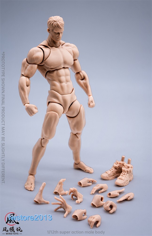Wind Toys 1:12 Flexible Hombre Articulado 6 pulgadas Masculino Figura de Acción Cabeza Cuerpo Soldado - Imagen 21 de 23