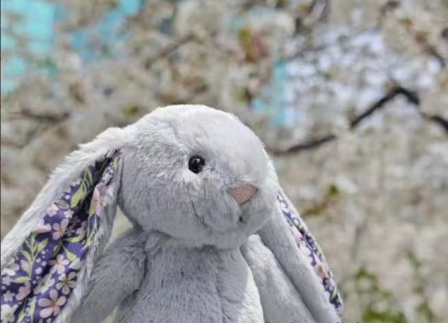 Muñeca Bonnie Rabbit 18Cm Conejo Floral Conejo Muñeca Juguete de Peluche Muñeca Cómoda Regalo - Imagen 39 de 39