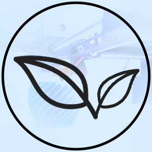 tpu
