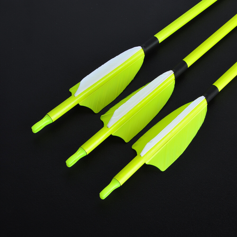 30" Carbon Arrows SP500 Feather Archery Screw Tips Recurve Compound Bow Hunting - Picture 9 of 19