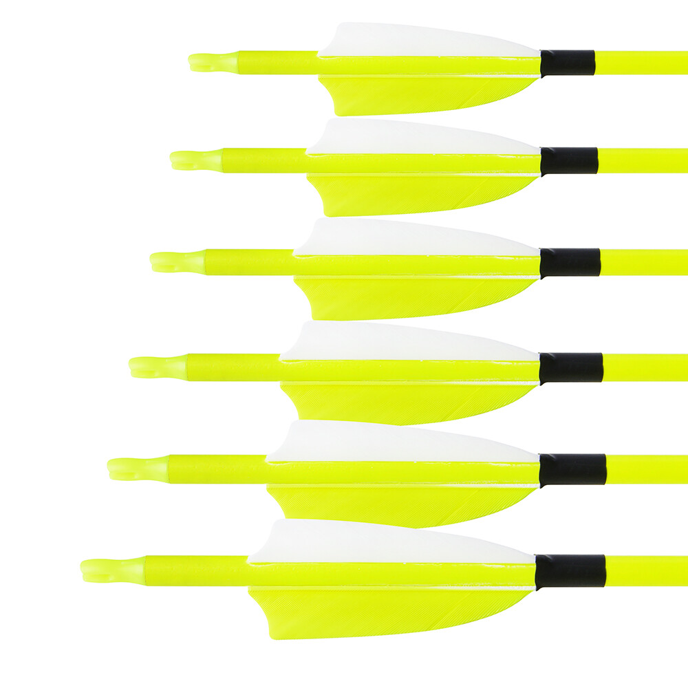30" Carbon Arrows SP500 Feather Archery Screw Tips Recurve Compound Bow Hunting - Picture 10 of 19