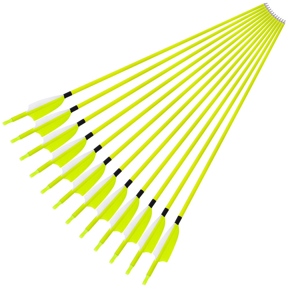 30" Carbon Arrows SP500 Feather Archery Screw Tips Recurve Compound Bow Hunting - Picture 11 of 19