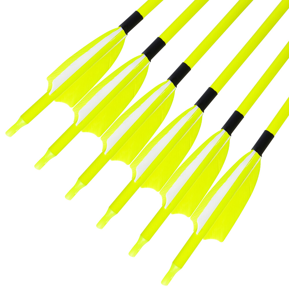30" Carbon Arrows SP500 Feather Archery Screw Tips Recurve Compound Bow Hunting - Picture 12 of 19
