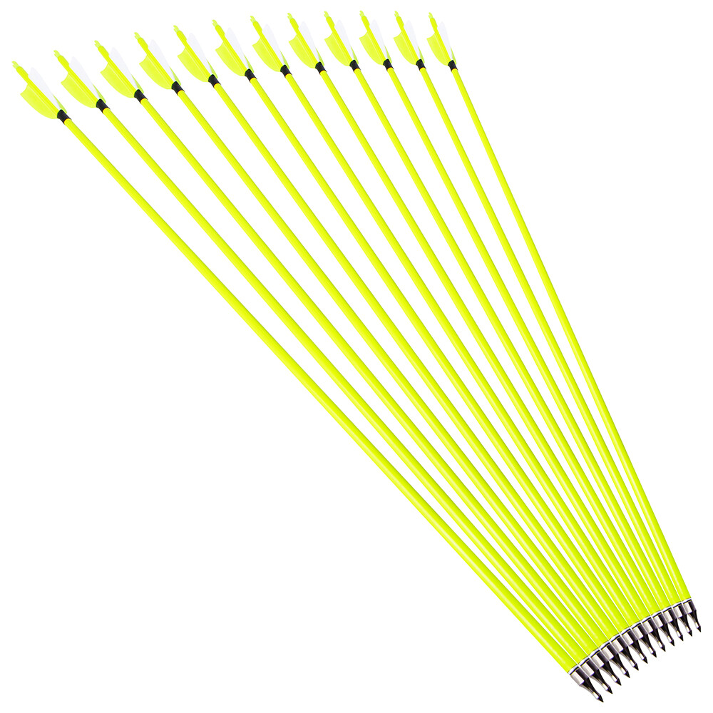 30" Carbon Arrows SP500 Feather Archery Screw Tips Recurve Compound Bow Hunting - Picture 13 of 19
