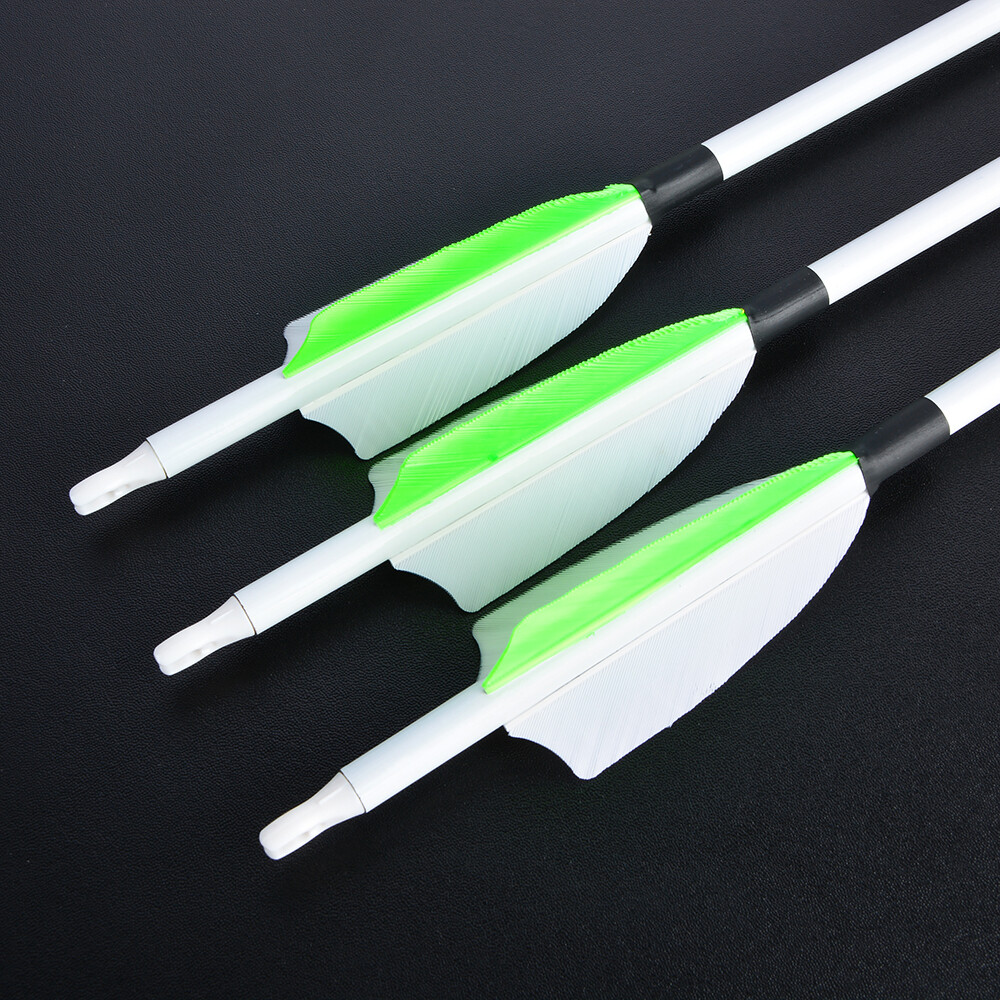 30" Carbon Arrows SP500 Feather Archery Screw Tips Recurve Compound Bow Hunting - Picture 15 of 19