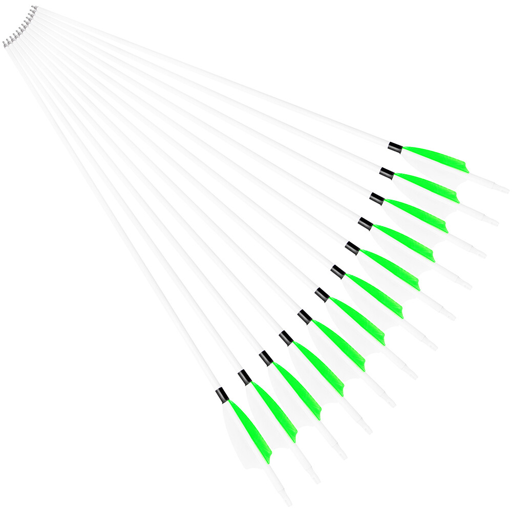 30" Carbon Arrows SP500 Feather Archery Screw Tips Recurve Compound Bow Hunting - Picture 17 of 19