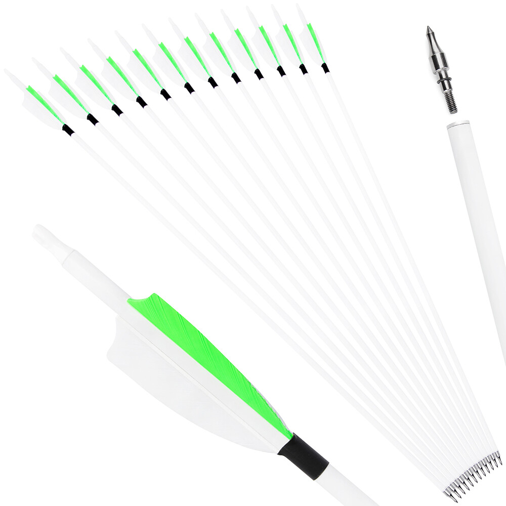 30" Carbon Arrows SP500 Feather Archery Screw Tips Recurve Compound Bow Hunting - Picture 18 of 19