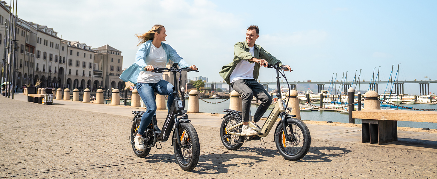 electric bike