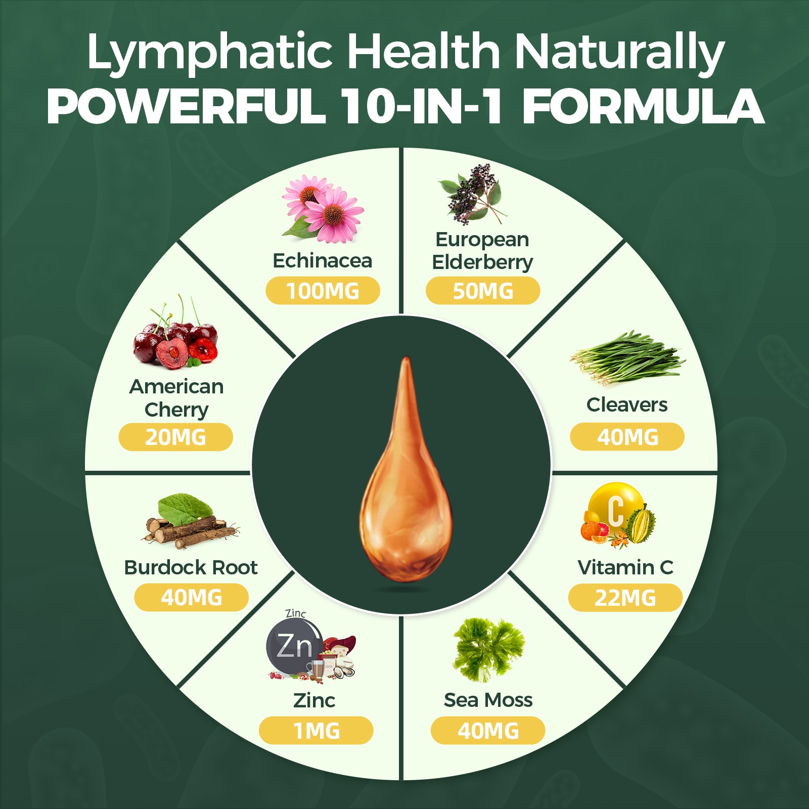 Certified Organic Lymphatic Drainage Drops – HHerbal Lymphatic Cleanse 60mL