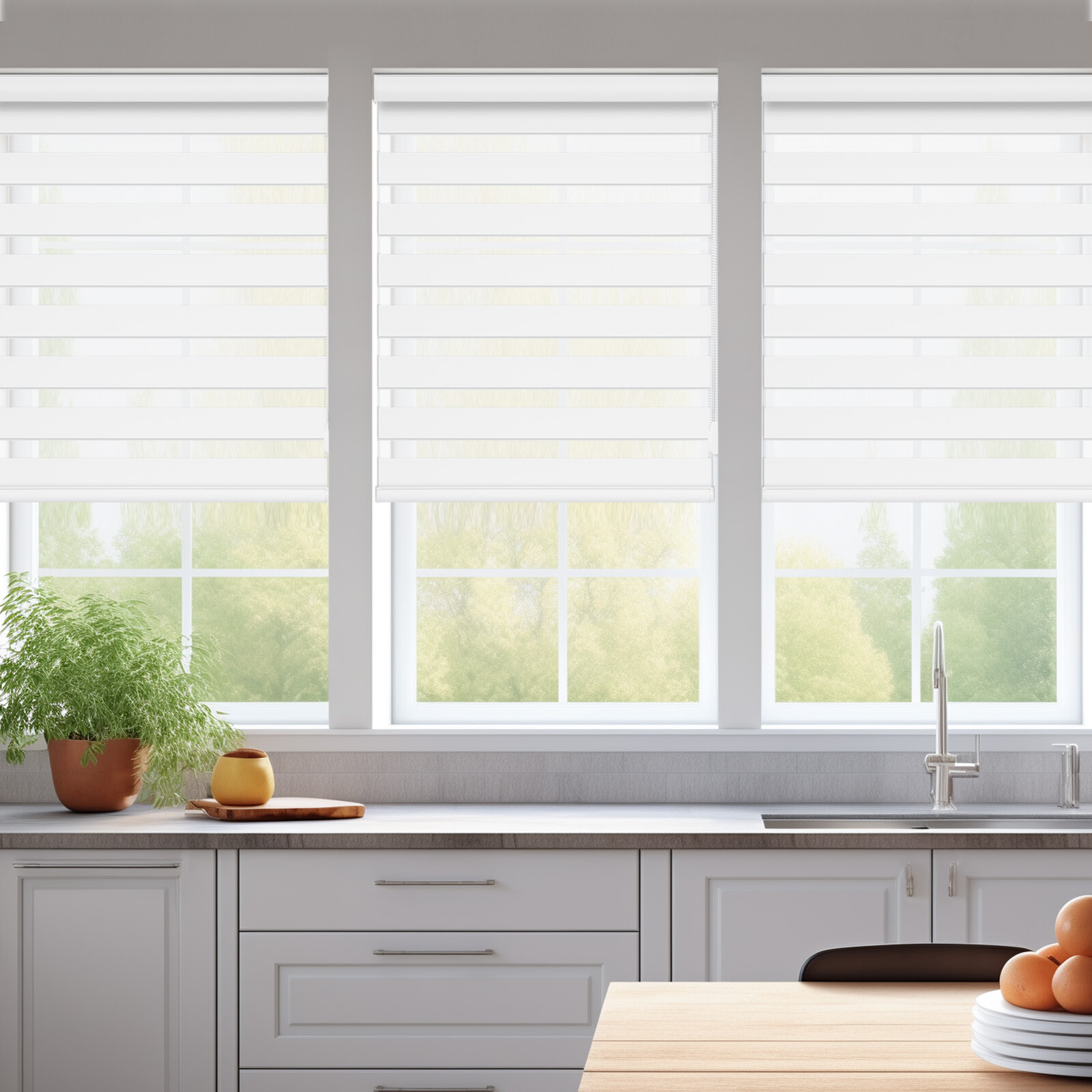 Changshade Dual Layer Zebra Roller Shades Window Treatment Corded Window Blinds