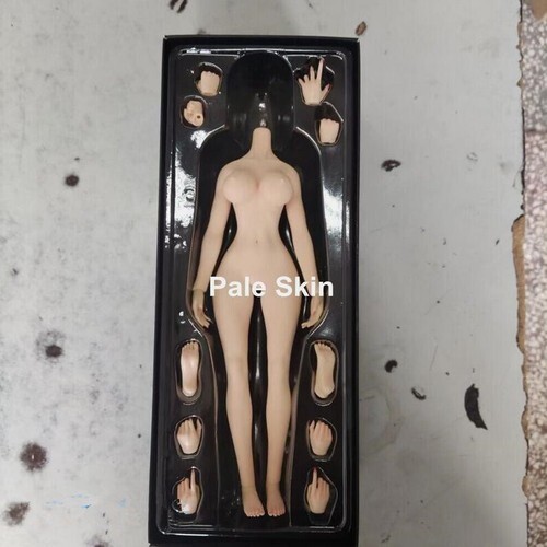 YM501 1/6 Female Sexy Plump Large Bust Flexible Details Body 12&Prime;Figure Doll