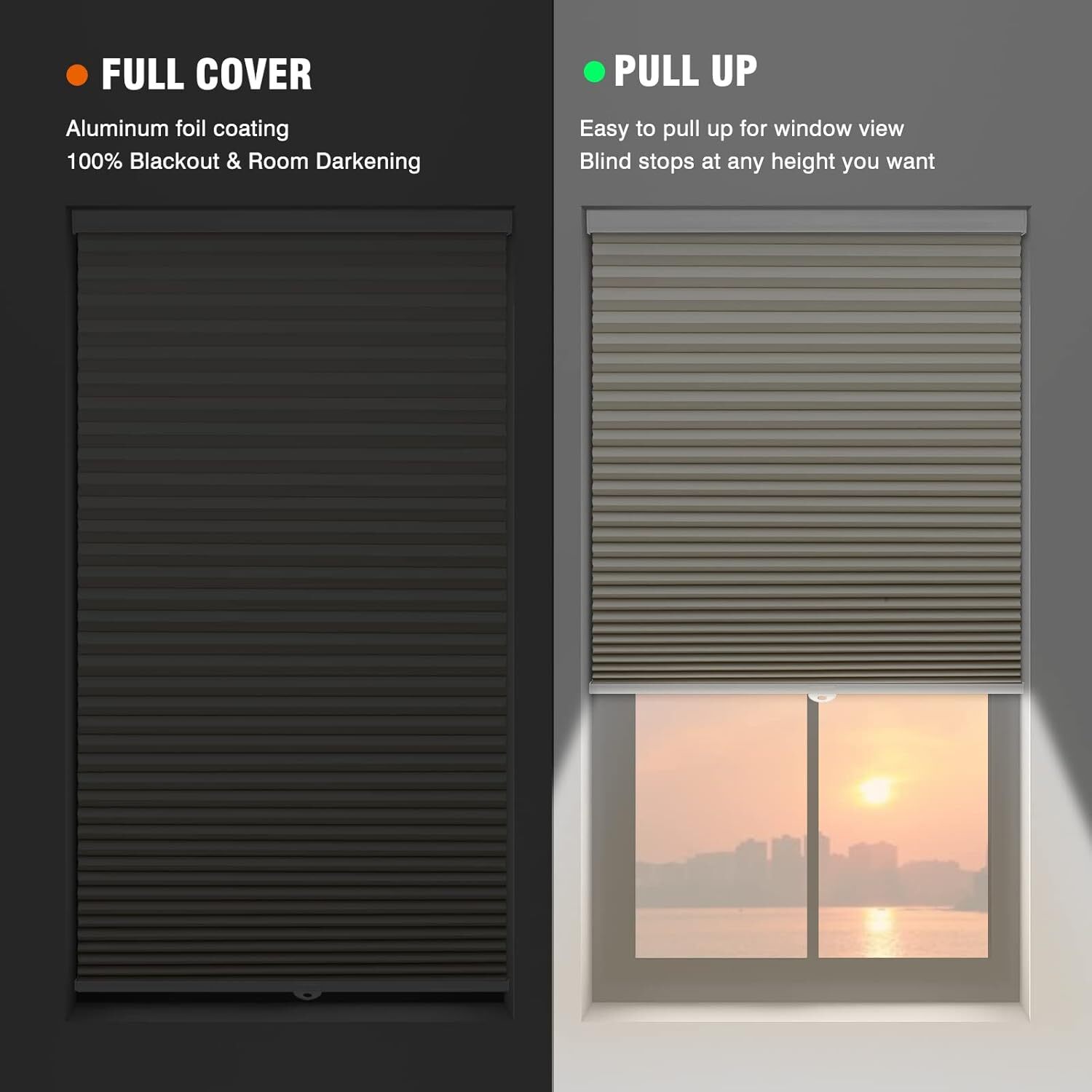 Window Blinds