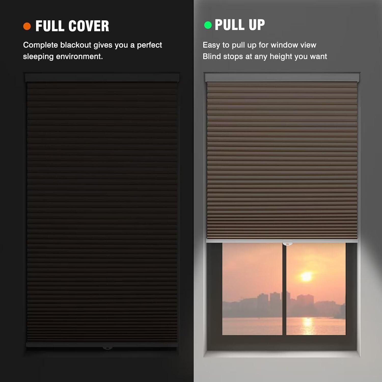 Window Blinds