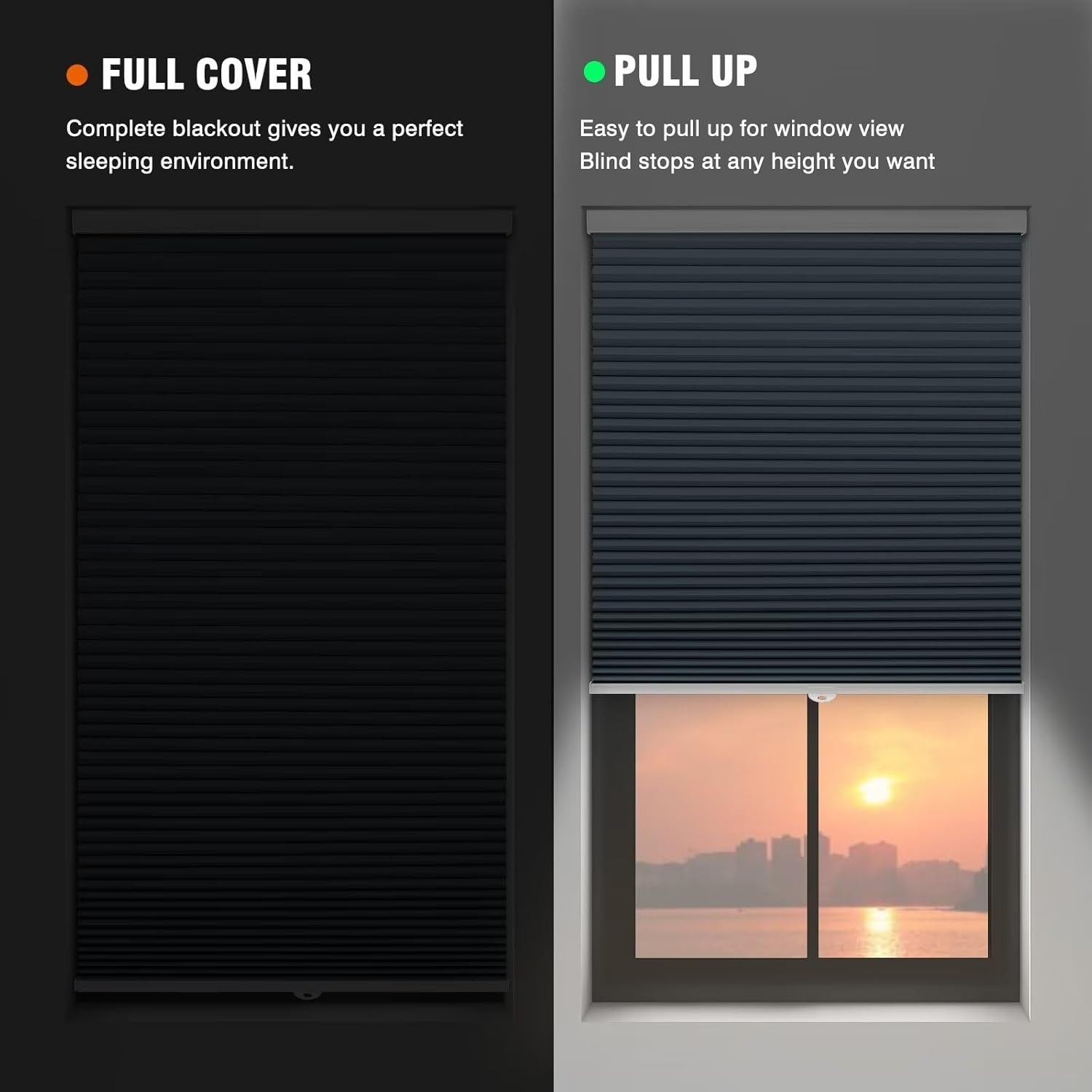 Window Blinds