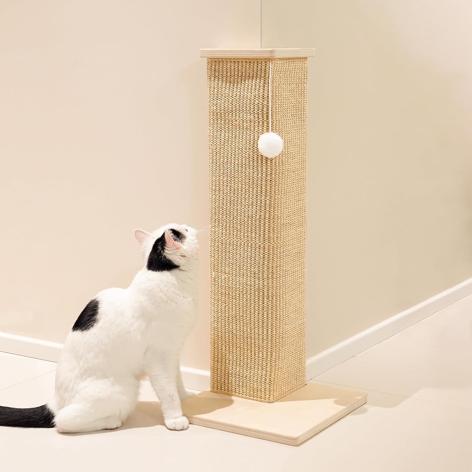 Corner Scratcher