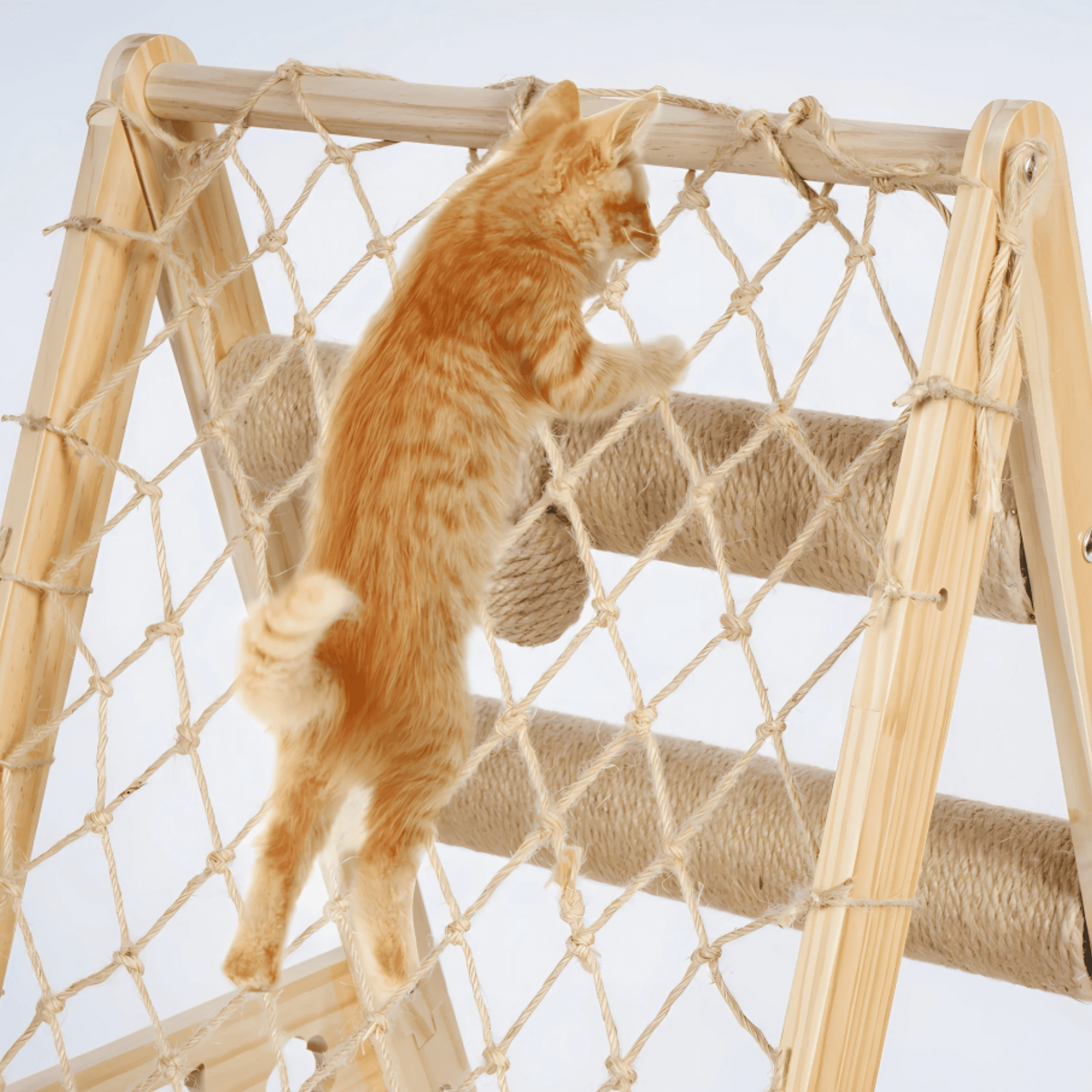 33" Wooden Cat Tree Triangle Climber w/ Hammock Scratching Post Indoor Cats