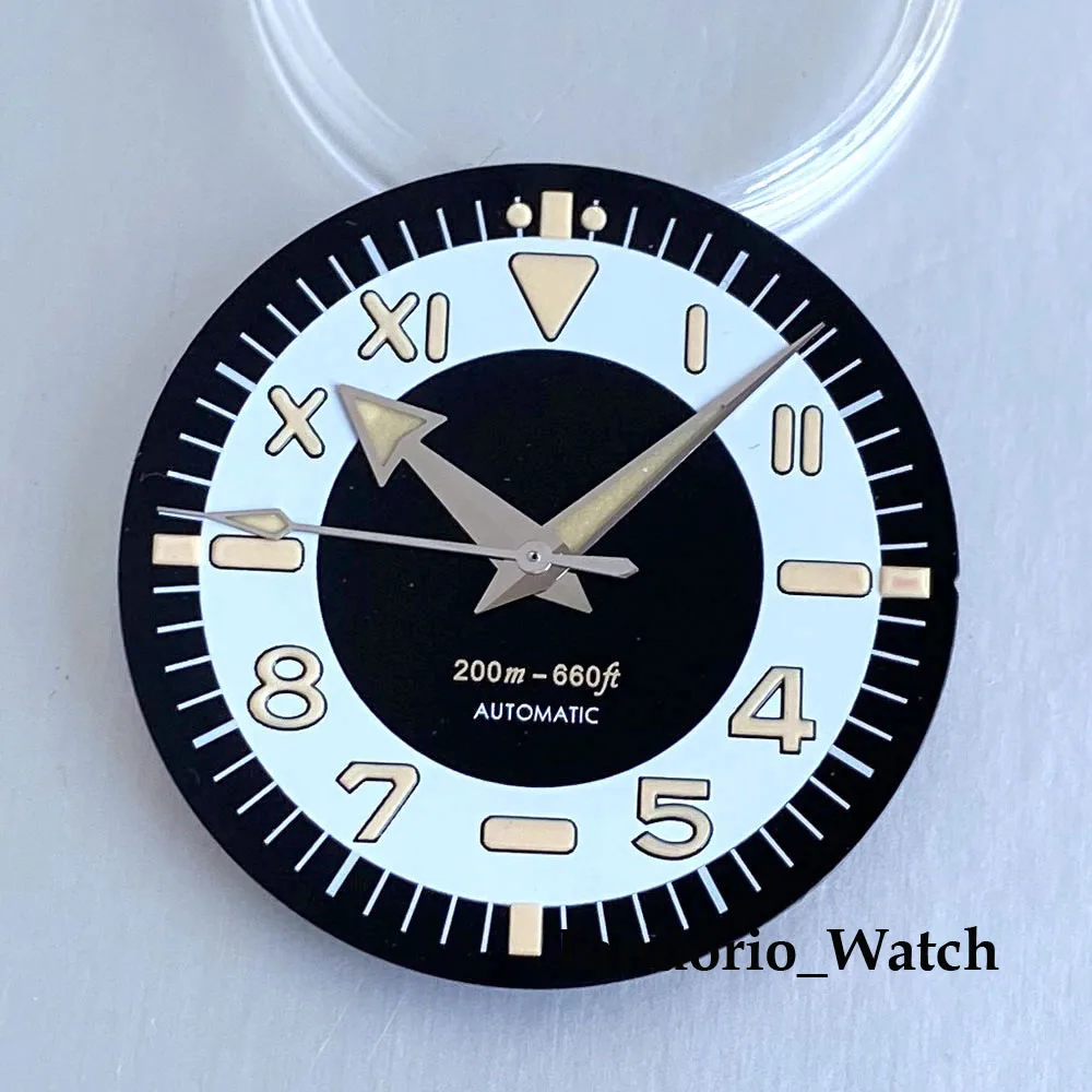 Tandorio 31mm Sterile Graduated Watch Dial Fit Miyota 8215 NH35A ETA 2824 PT5000
