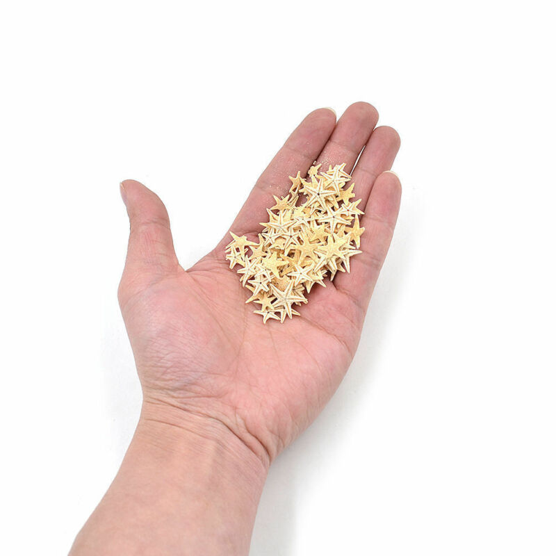 5/25/50 pcs Flat Dried Starfish DIY Crafts Mini Sea Shells Ornaments Nautical De - Picture 5 of 8